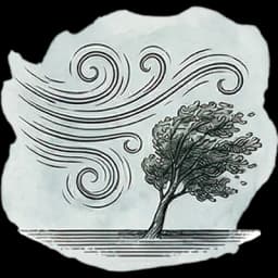 cielo claro